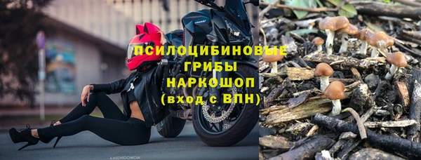 mix Богородск