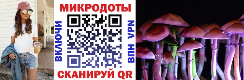 hydra как зайти  купить наркоту  Благодарный  Галлюциногенные грибы Cubensis 